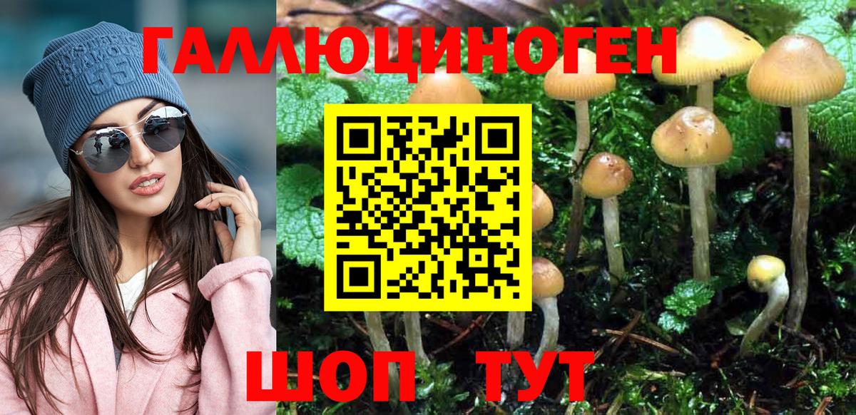 Псилоцибиновые грибы прущие грибы  Псилоцибиновые грибы Psilocybine cubensis  Вход с VPN  Луга 