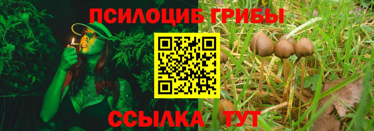 Псилоцибиновые грибы ЛСД Луга